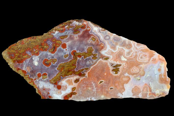 Colorful, Polished Plume Agate Section - Morocco #114883